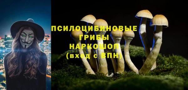 герыч Горнозаводск