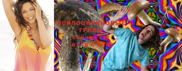 герыч Горнозаводск