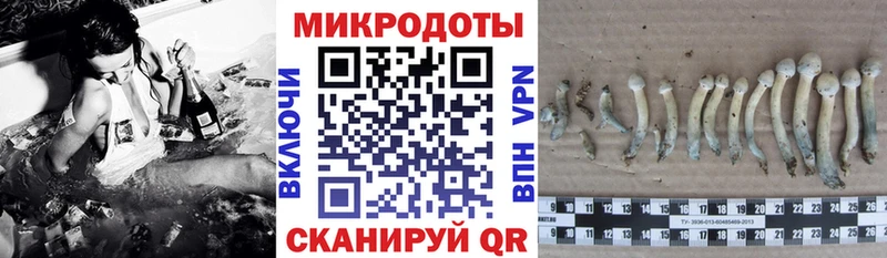 Псилоцибиновые грибы Cubensis Малая Вишера